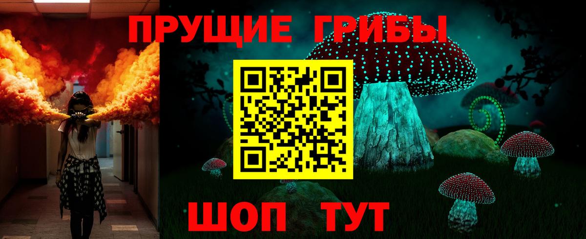 Тула  Галлюциногенные грибы Cubensis  Вход с VPN 