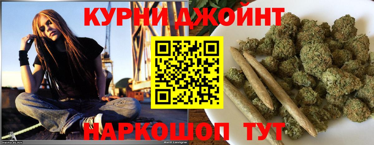 Конопля планчик  Вход с VPN  Канабис ГИДРОПОН  Тула  Каннабис планчик 
